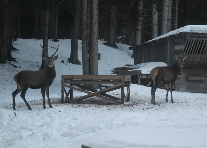 Apartamento Tiefhof *