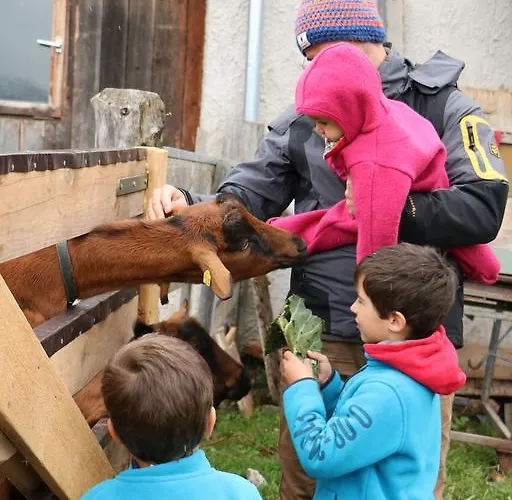 Tiefhof Appartamento *