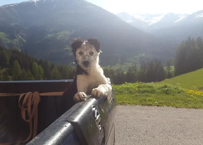 Appartamento Tiefhof *